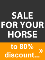 Special Sale Horse