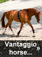 Vantaggio Horsewear at Ooteman