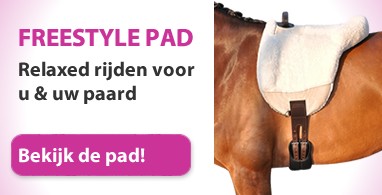 Ooteman Paardensport