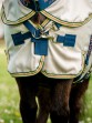 Ooteman Paardensport