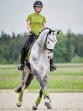 Ooteman Paardensport