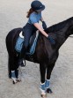 Ooteman Paardensport