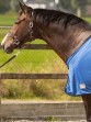 Harry's Horse Vliegendeken/Cooler Mesh-Pro Navy 