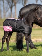Harry's Horse Foal Rug TwoTone Black/Pink