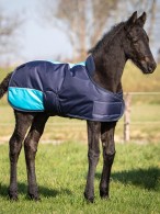 Harry's Horse Foal Rug TwoTone Navy/Blue