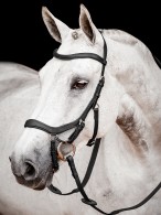 Rambo Micklem 2 Competition Bridle Black