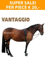 Super Sale! Vantaggio Pessoa Reins