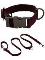 BR Dog Collar + Lead Fudge