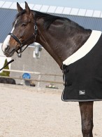 Harry's Horse Zweetdeken Champion Black