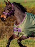 Amigo Turnout Rug Hero Ripstop Lite Bramble