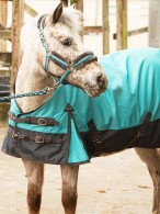 Harry's Horse Regendeken Stout Turquoise 