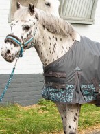 Harry's Horse Outdoor Rug Stout 200 Petrol