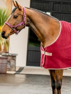 Amigo Cooler Rug Fleece Mulberry