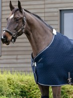 LeMieux Travel Rug Kudos 3D Mesh Navy