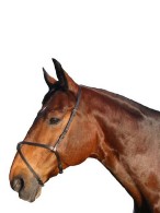 Vantaggio Mexican Noseband