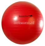 Horsemen's Pride Jolly Mega Ball 25 Red 