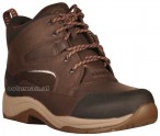 Ariat Riding Shoes Telluride II H2O Dark Brown