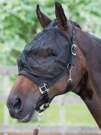 Harry's Horse Headcollar + Flymask Black