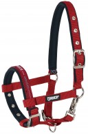 Eskadron Headcollar Foal Basics Chili