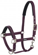 Eskadron Headcollar Basics Blackberry