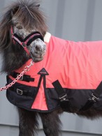 Harry's Horse Turnout Rug Stout Coral