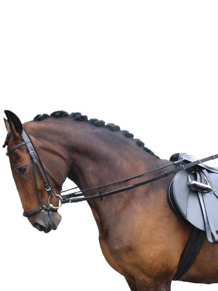 Verbanning Coördineren Vervullen Vantaggio Elastische Halsverlenger | Ooteman Paardensport