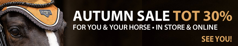 Autumn Sale!