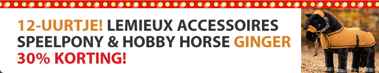 LeMieux Hobby Horse & Toy Pony Accessories Ginger